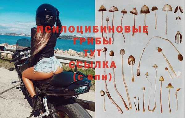 таблы Магас