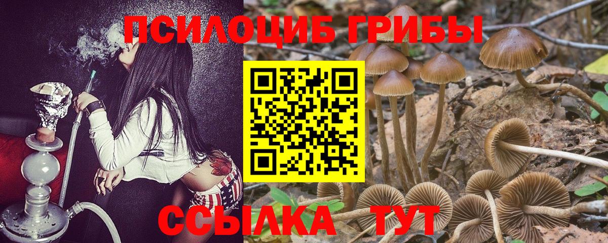 Галлюциногенные грибы мухоморы  как найти закладки  Вход с VPN  Электросталь  Псилоцибиновые грибы Psilocybine cubensis 