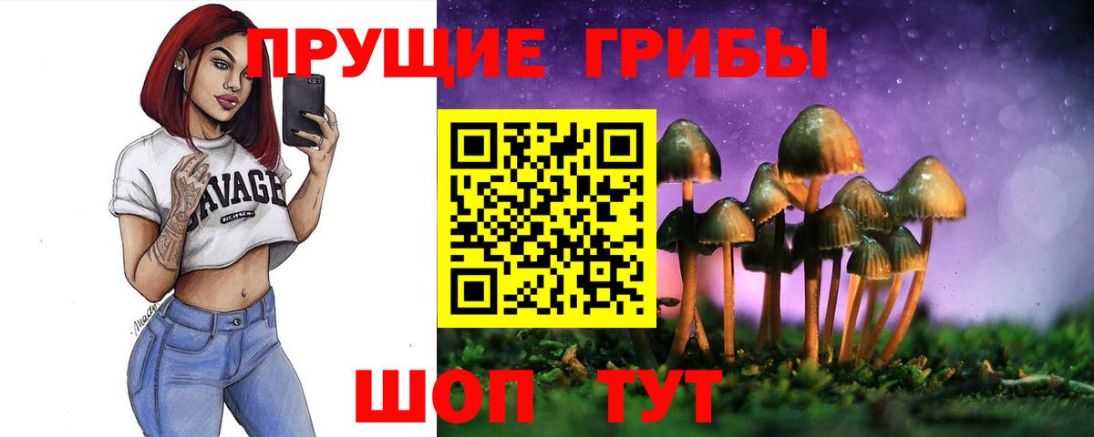 Галлюциногенные грибы Cubensis Электросталь